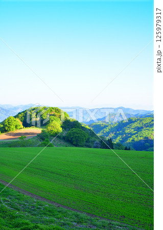 青々とした緑の丘から　清々しい眺め　秩父郡皆野町 125979317