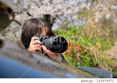 カメラで写真を撮る女性 カメラで写真を撮る女性 125979372