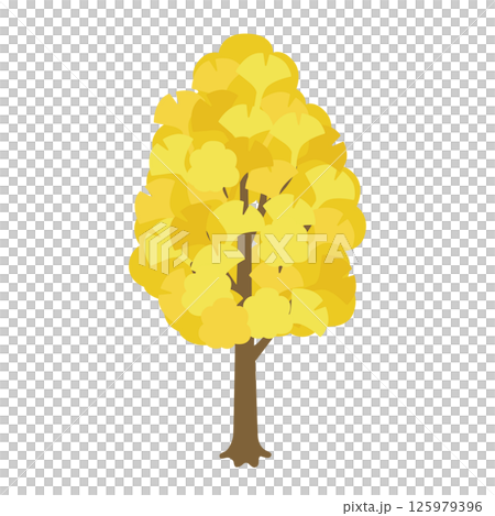 Ginkgo tree illustration (Autumn) 125979396