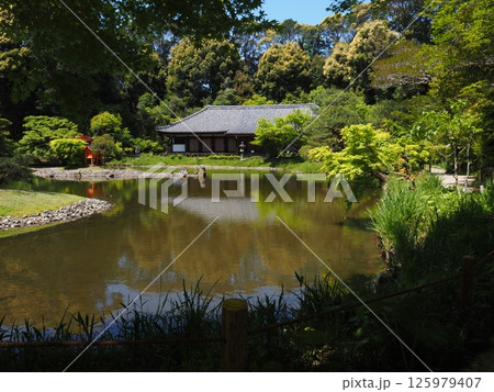 初夏の浄瑠璃寺 初夏の浄瑠璃寺 125979407