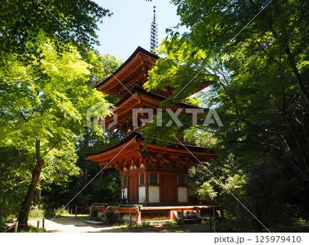 初夏の浄瑠璃寺 125979410