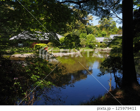 初夏の浄瑠璃寺 125979411