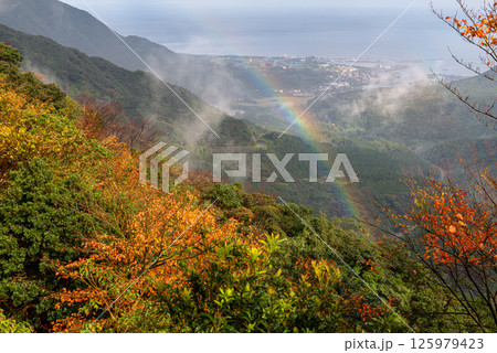 屋久島洋上アルプス きれいな虹と紅葉(11月) 屋久島洋上アルプス きれいな虹と紅葉(11月) 125979423