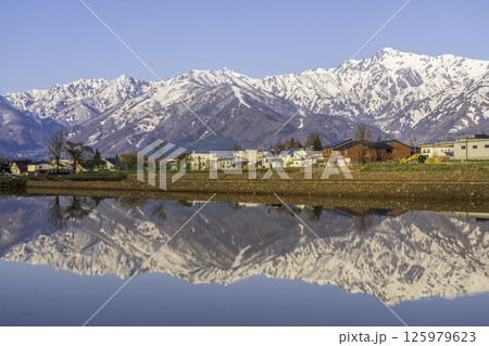 白馬村の田んぼに映る雪を抱いた初夏の北アルプス 白馬村の田んぼに映る雪を抱いた初夏の北アルプス 125979623