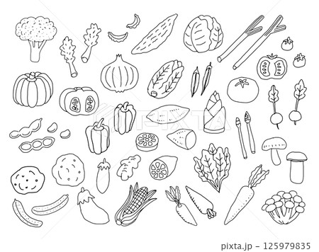 線画の野菜のイラストセット 125979835