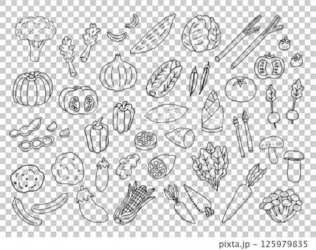 線画の野菜のイラストセット 125979835
