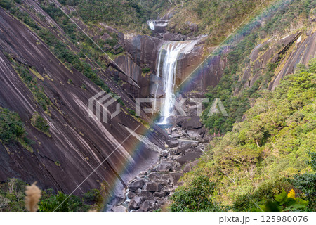屋久島国立公園 千尋滝ときれいな虹(12月) 屋久島国立公園 千尋滝ときれいな虹(12月) 125980076
