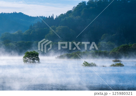 白川湖の水没林 125980321