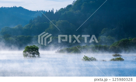 白川湖の水没林 白川湖の水没林 125980328