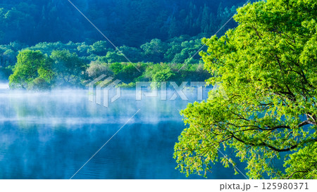 白川湖の水没林 125980371