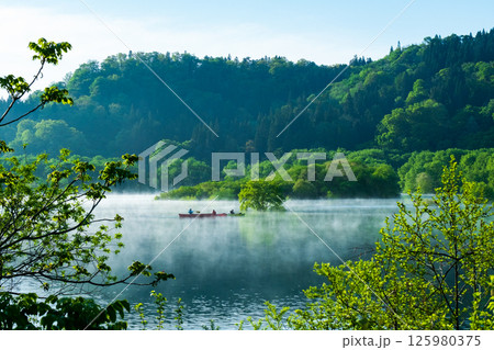 白川湖の水没林 125980375