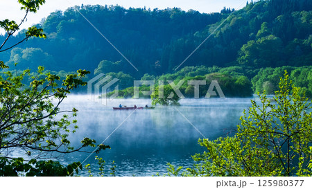 白川湖の水没林 白川湖の水没林 125980377