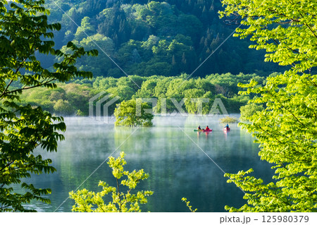 白川湖の水没林 白川湖の水没林 125980379