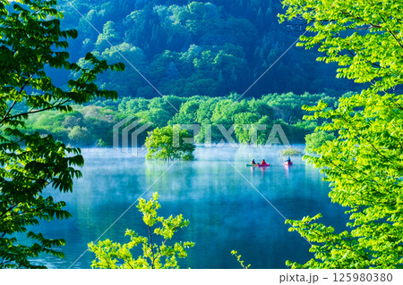 白川湖の水没林 125980380