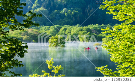 白川湖の水没林 125980388
