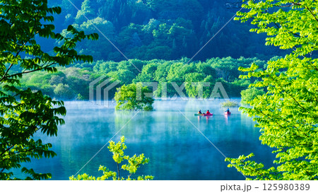 白川湖の水没林 125980389
