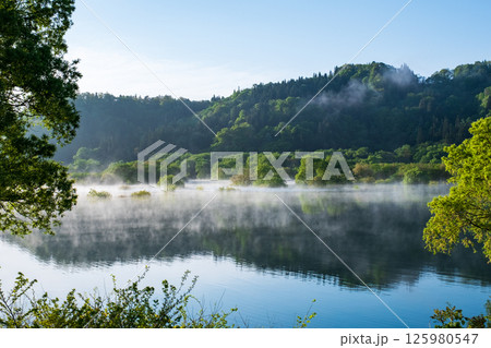 白川湖の水没林 白川湖の水没林 125980547