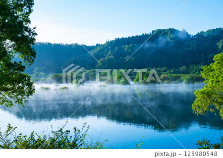 白川湖の水没林 125980548