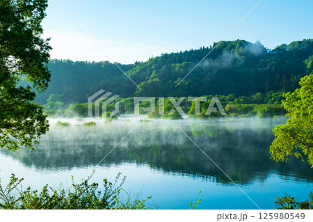 白川湖の水没林 125980549