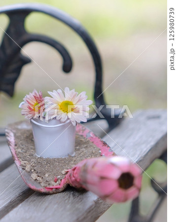 ベンチにピンクのショベルと菊 ベンチにピンクのショベルと菊 125980739