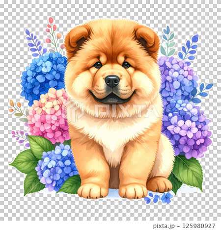Illustration of hydrangea flowers and a chow chow puppy 3 / Material for flyers and posters 125980927