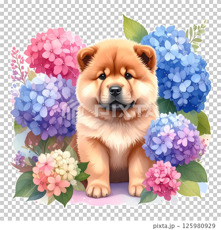 アジサイの花とチャウチャウの仔犬のイラスト5／チラシやポスター用素材 125980929
