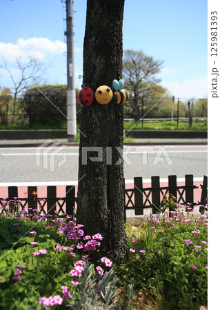 街路樹と植栽 街路樹と植栽 125981393