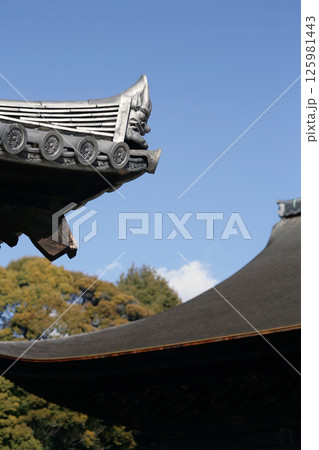 寺院の大屋根と青空 125981443