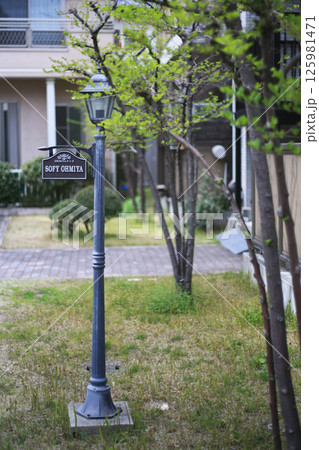 賃貸アパートの前庭 賃貸アパートの前庭 125981471