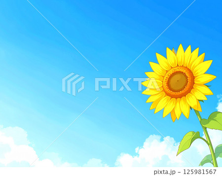 ひまわりと青空 125981567