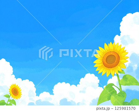 ひまわりと青空 ひまわりと青空 125981570