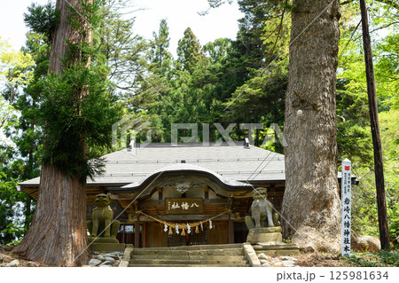 杉と樅の巨木出迎える　岩崎八幡神社　秋田県湯沢市 125981634