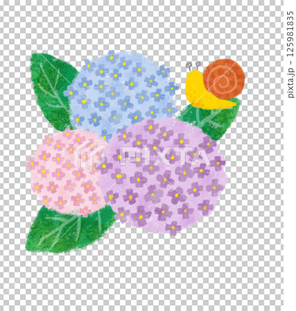 クレヨンタッチのカラフルな3輪の紫陽花　カタツムリ 125981835