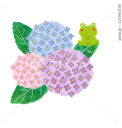 クレヨンタッチのカラフルな3輪の紫陽花　カエル 125981836