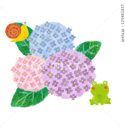 クレヨンタッチのカラフルな3輪の紫陽花　カエルとカタツムリ 125981837