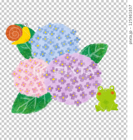 Three colorful hydrangeas with crayon touches, a frog and a snail 125981837