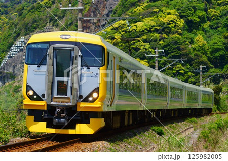 新宿さざなみが駆け抜ける内房線 125982005
