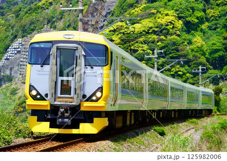 房総の自然を走る特急新宿さざなみ 125982006