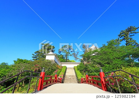 神奈川県小田原市、小田原城址公園の風景 125982194