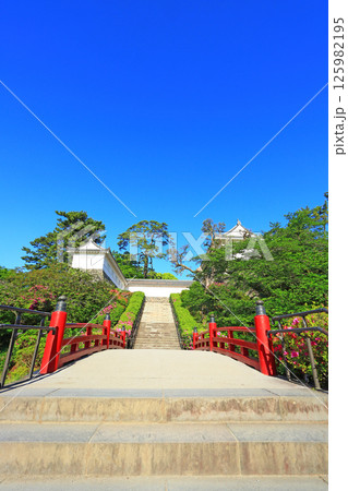 神奈川県小田原市、小田原城址公園の風景 神奈川県小田原市、小田原城址公園の風景 125982195