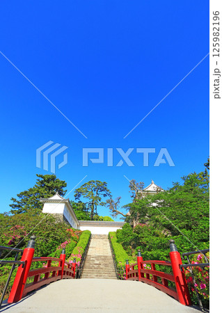 神奈川県小田原市、小田原城址公園の風景 125982196