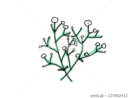 かすみ草（カラー） 125982412