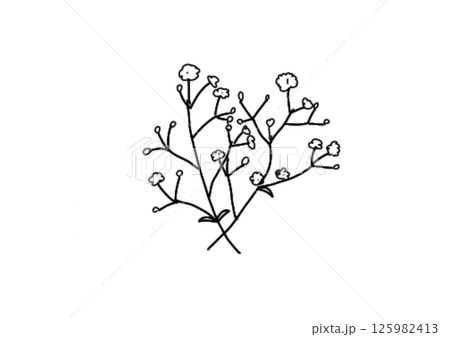 かすみ草(モノクロ) かすみ草(モノクロ) 125982413