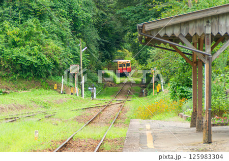 緑のトンネルを抜けて月崎駅に到着する小湊鐵道 緑のトンネルを抜けて月崎駅に到着する小湊鐵道 125983304