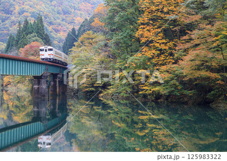 川面に姿を映しながら紅葉のなかを高山本線の気動車が渡る 125983322