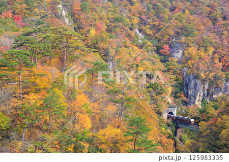 紅葉の鳴子峡を陸羽東線の気動車が徐行する 紅葉の鳴子峡を陸羽東線の気動車が徐行する 125983335