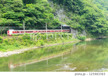 伯備線の特急列車が緑一色の井倉峡を走り抜ける 125983363