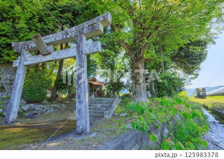 大きな樹に囲まれた神社の側を第3セクターの若桜鉄道が通る 大きな樹に囲まれた神社の側を第3セクターの若桜鉄道が通る 125983378