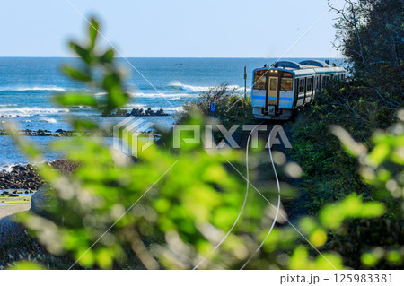 太平洋を背景に宿戸の海岸を八戸線の気動車が力走する 125983381