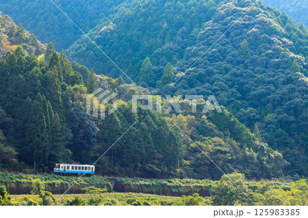 四万十川の渓谷に沿って予土線の気動車が築堤を走る 四万十川の渓谷に沿って予土線の気動車が築堤を走る 125983385
